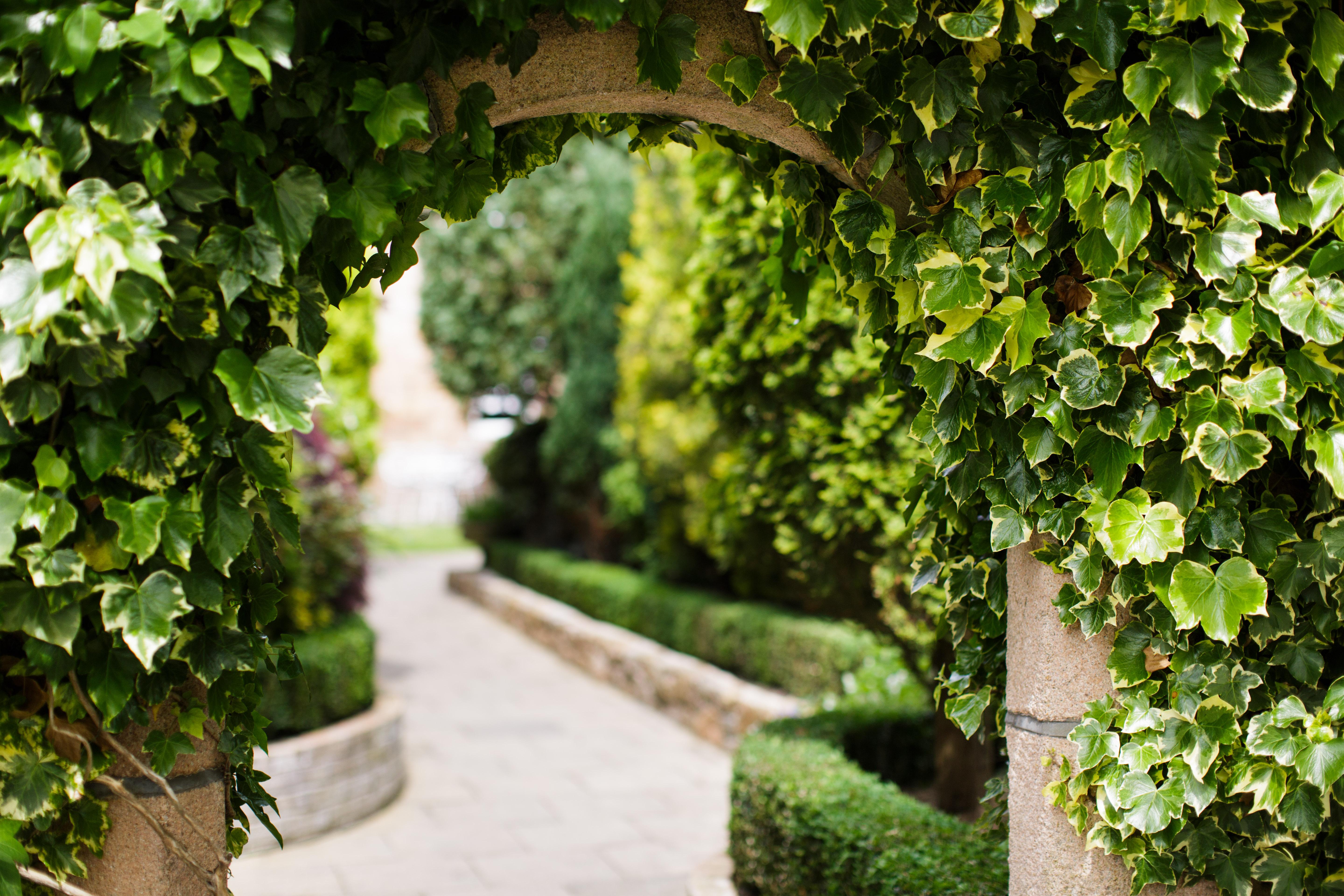 Greenhills Country Hotel Saint Peter Dış mekan fotoğraf